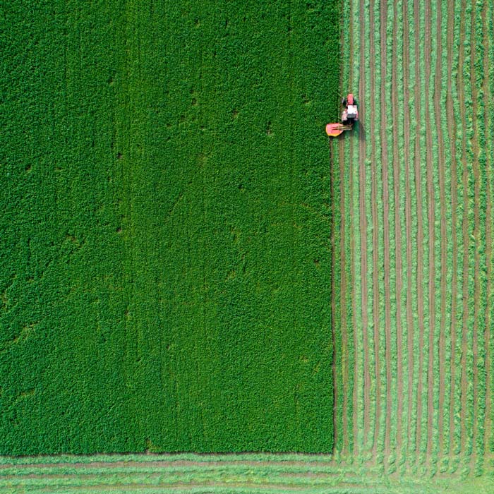 Aerial view of a farmer cutting alfalfa